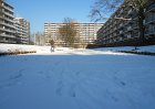 DSCN0061