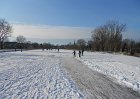 DSCN0081
