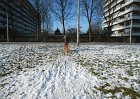 DSCN0142