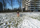 DSCN0143